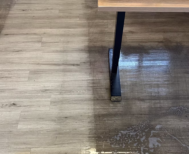 Vinyl Strip and Seal